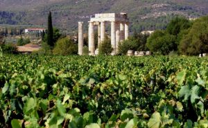 archaia-nemea-winetasting-events-650x400