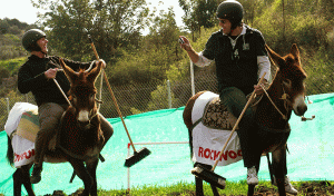 donkey-polo-green-events