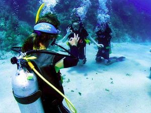 underwater-world-teambuilding