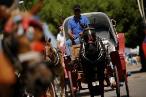 aegina-horse-carriages