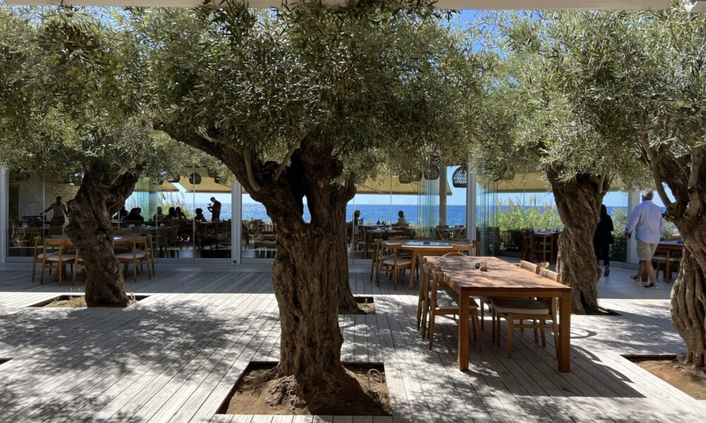 cap-st-georges-olive-tree-sitting-area-restaurant